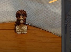 インスタライブをバレずに見る方法！こっそり視聴する裏技