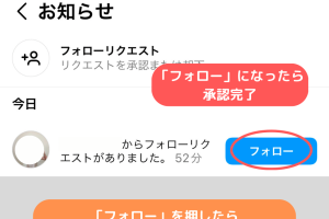 インスタ鍵垢へフォロー申請!成功への秘訣を大公開 9 インスタ鍵垢へフォロー申請!成功への秘訣を大公開