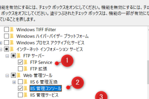 FTPサーバー、Windows 10で設定する方法、簡単ガイド