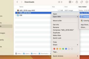 HEICファイルを開く方法!Windows・Macで簡単表示 6 HEICファイルを開く方法!Windows・Macで簡単表示