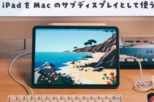 Sidecarを有線接続する方法！安定した接続を