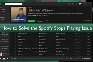 Spotifyが止まる！原因と解決策を総まとめ