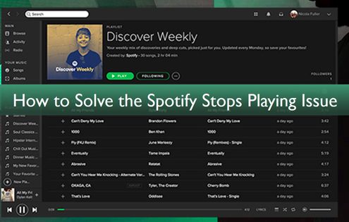 spotifye3818ce6ada2e381bee3828befbc81e58e9fe59ba0e381a8e8a7a3e6b1bae7ad96e38292e7b78fe381bee381a8e38281