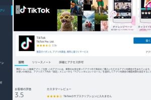 TikTokをパソコンで楽しむ方法！大画面で快適視聴