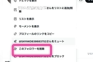 Twitterのフォロワーを一括削除する方法!効率的に整理しよう 6 Twitterのフォロワーを一括削除する方法!効率的に整理しよう