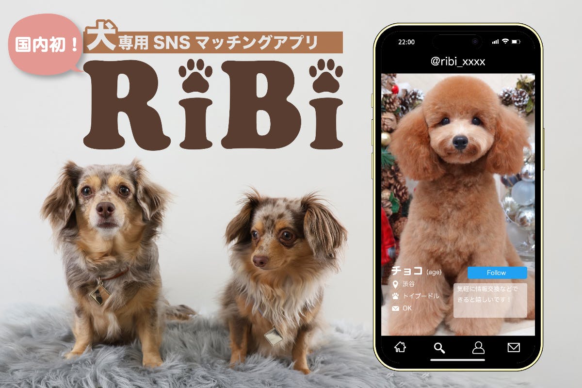 ペットに反応するアプリ、おすすめを紹介! 4 bb4891ec 3a16 465a 975b 5ba375b1b909